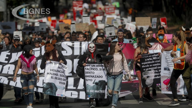 Animal rights activists have protested the return of bullfighting to Mexico City after it was suspended almost two years ago